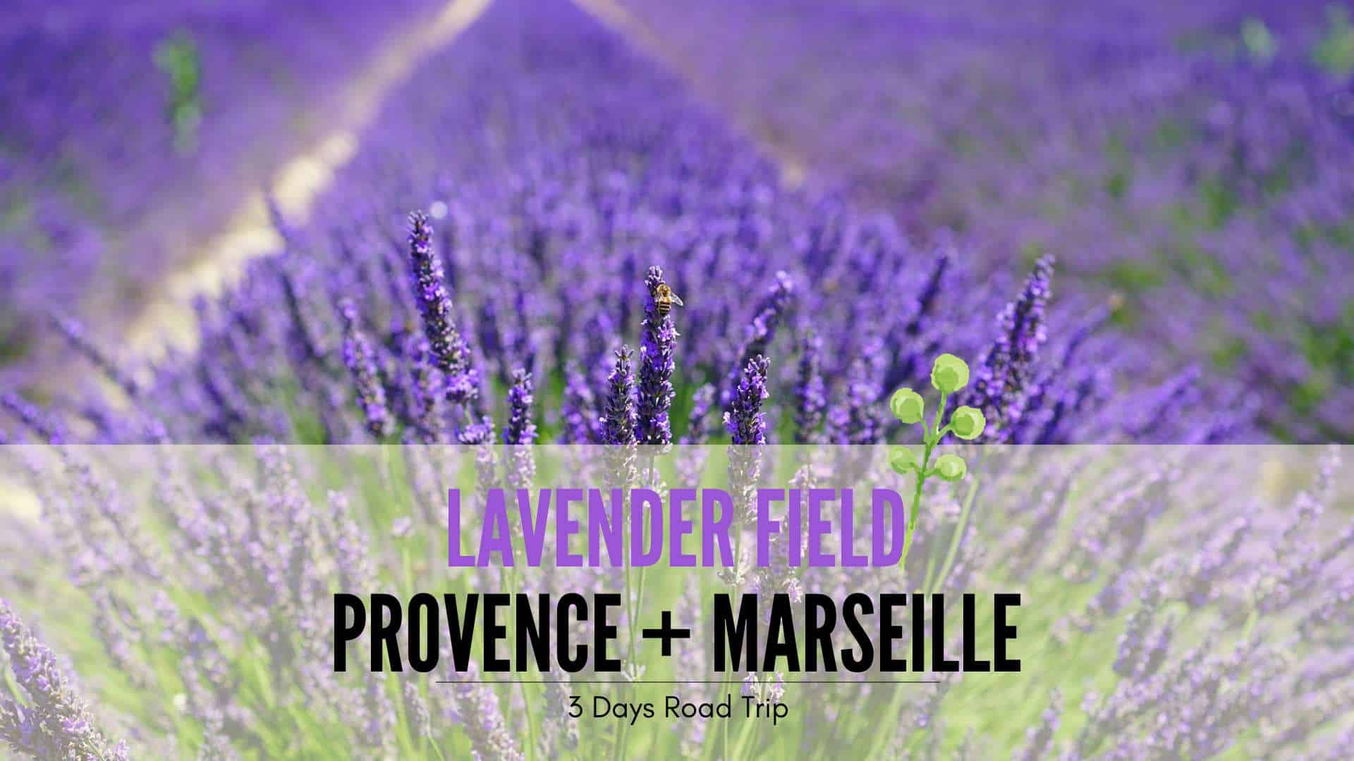3 Days Itinerary Road Trip – Lavender @ Provence and Marseille - Singapore Travel ...1920 x 1080